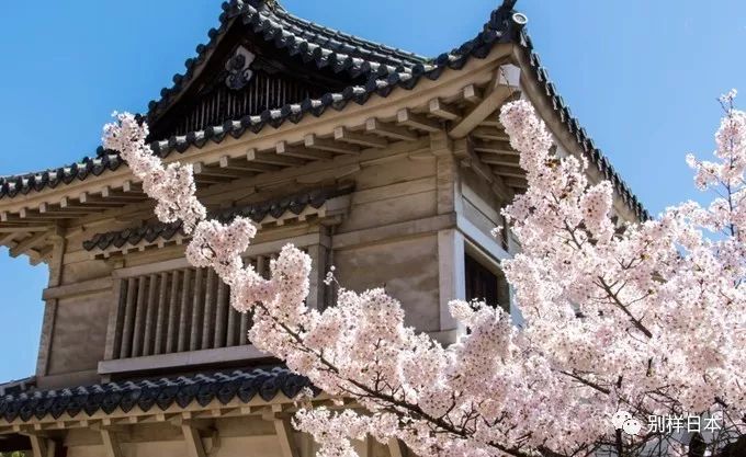 2019日本赏樱时间表来了