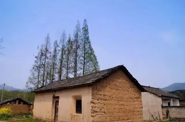 保存完好的夯土房以土筑墙,圆木为梁,茅草或平瓦为顶.