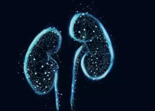 尿酸|36岁男子，尿酸高达850，突发肾衰竭入院，这2种东西害人不浅