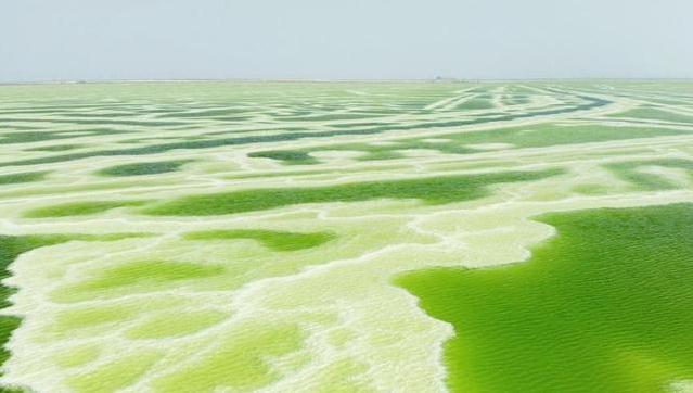 青海经济第一县,面积比浙江还大,人口仅24万,G