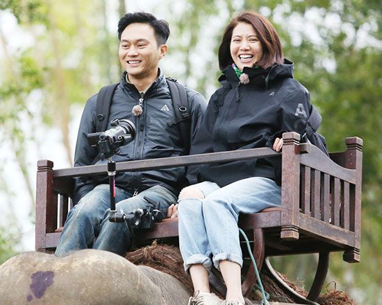 张智霖微博公开宣布和袁咏仪分道扬镳?袁咏仪