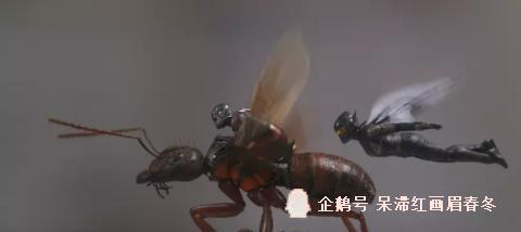 美国队长或者雷神穿上蚁人服装会不会更强 让我们来看一看