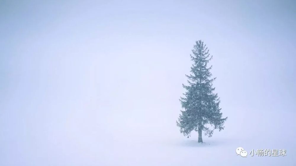 除了无边无际的雪 再没有另一样可以治愈你的冬天 腾讯新闻