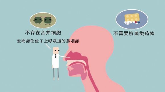 流感季,出现这些症状快去就医,这个时间段治疗