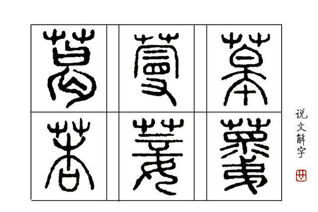 说文解字 74课 说一种植物 蔓生 或 藤生 区别在哪 腾讯网