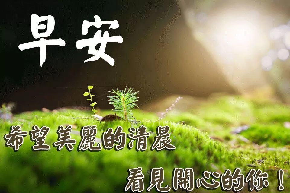 2021清晨暖心的早上好祝福短信早上好唯美動態祝福圖片