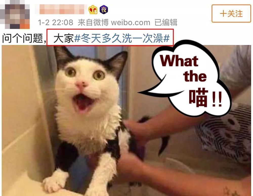 点击图片看原样大小图片