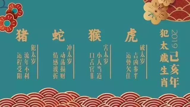 2019年犯太岁的四个生肖猪 蛇 猴 虎 需要注意哪些事情呢 腾讯网