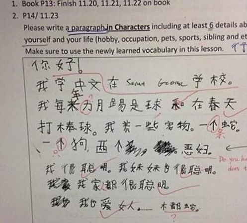 令人绝望的中文试卷,老外都被考哭,网友:原谅我