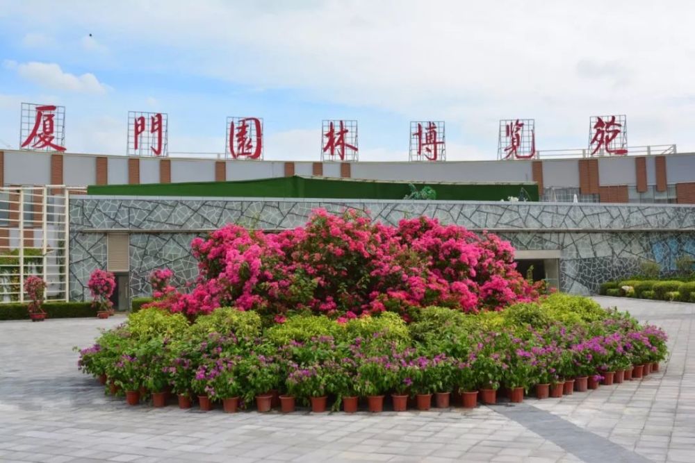 周末和节假日植物园西大门检票口只进不出.