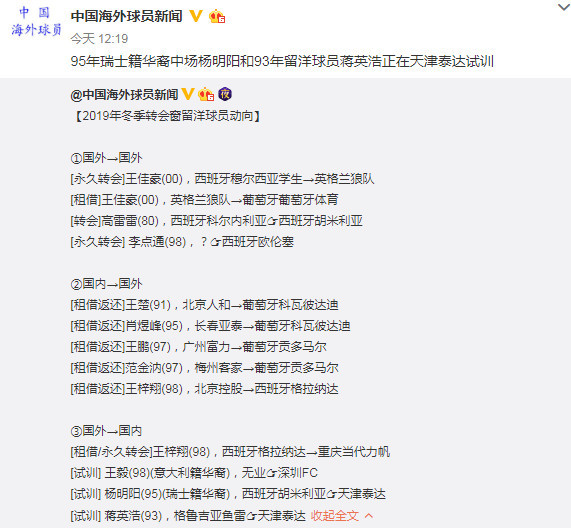 曝两名海外联赛球员试训泰达 瑞士籍华裔中场