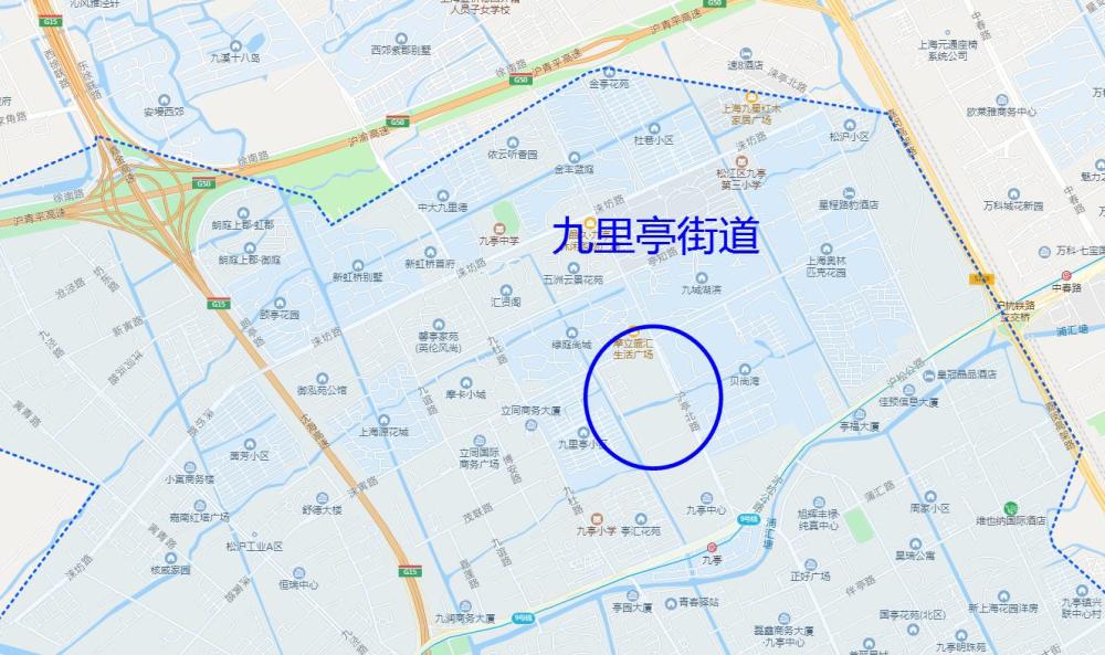 下图就是上海市松江区九里亭公园的卫星图.