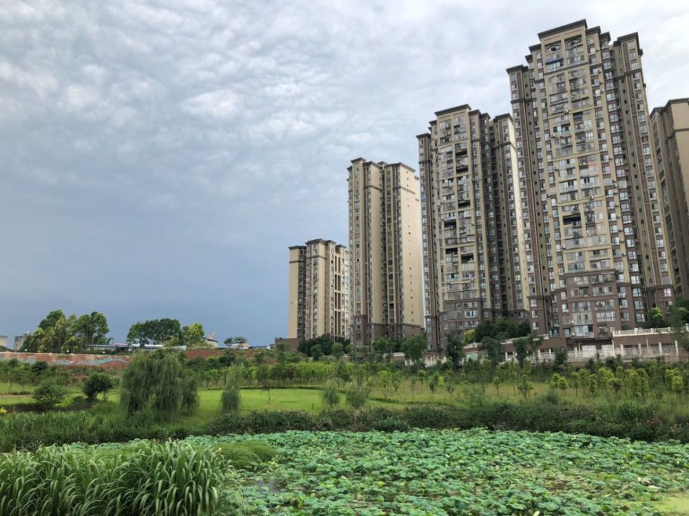 排队了,冷落了,限购了,买房了…成都2018年房产