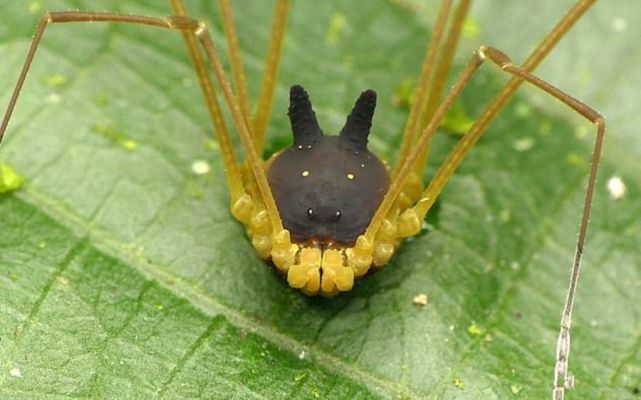 腾讯内容开放平台