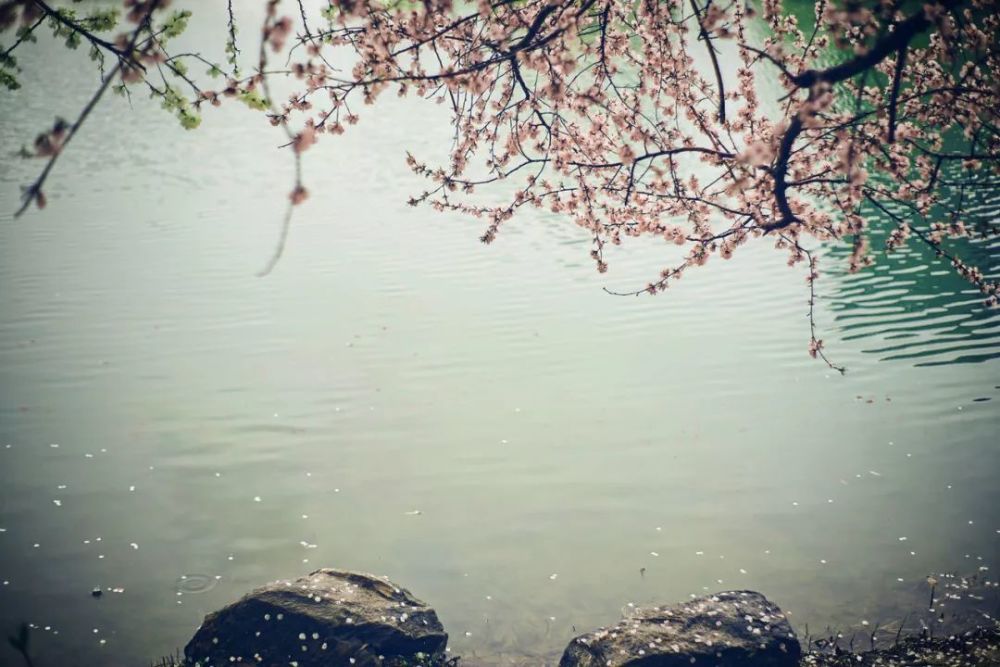 回文诗|如此才华横溢的诗，你见过吗？绝了！