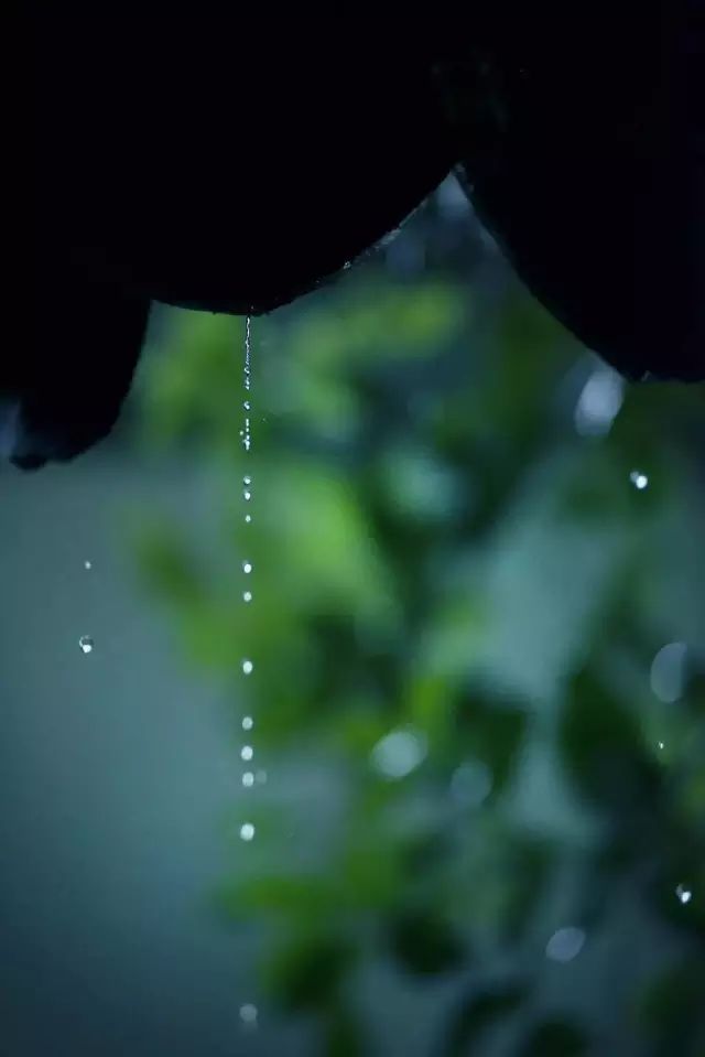 七绝寒雨乱相思新韵