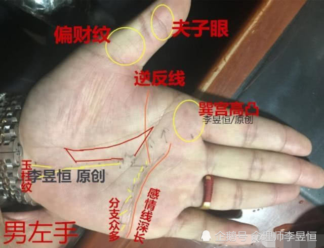 手相分析 太阳线和钱财纹同时出现 事有所成 发家发福 手相 财运