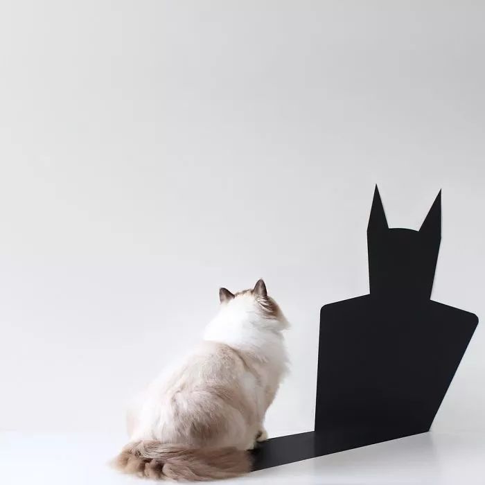 皮尔查亚·伯拉夫|做设计要有这样的创意脑洞，那还不羡慕得哭啊！