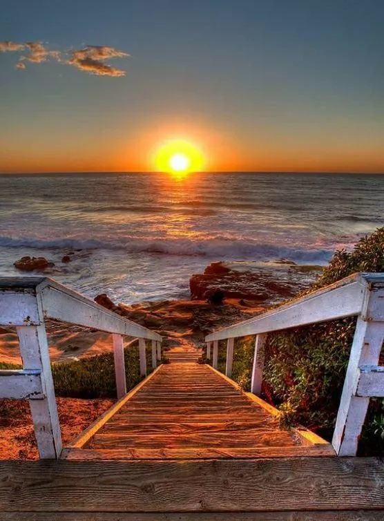 美极了,看完心情大好!