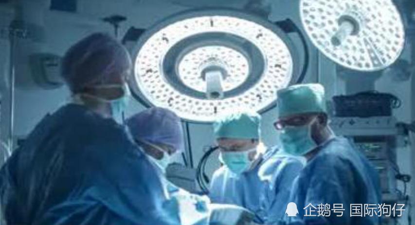 植物人病房离奇怀孕生子,护士报案时也惊慌尖