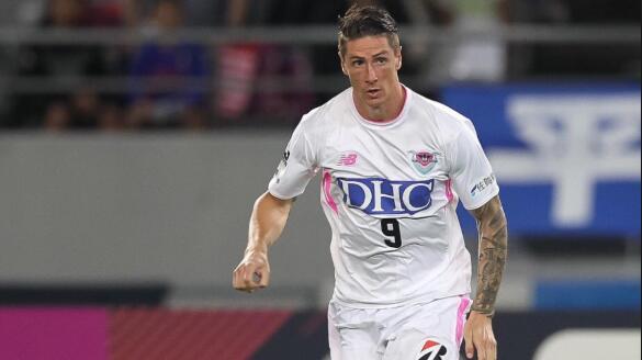 鸟栖砂岩官方宣布更新托雷斯合同 2019赛季继