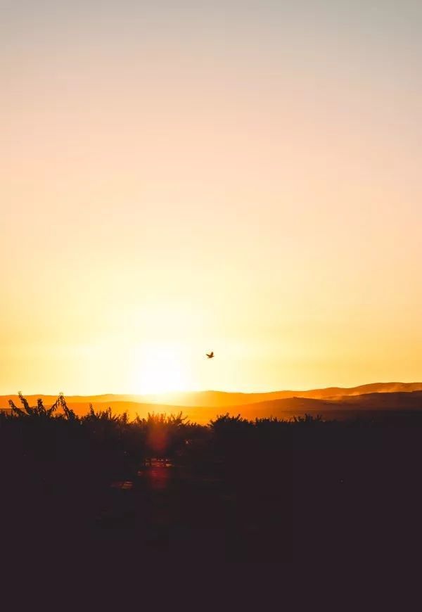 回文诗|如此才华横溢的诗，你见过吗？绝了！