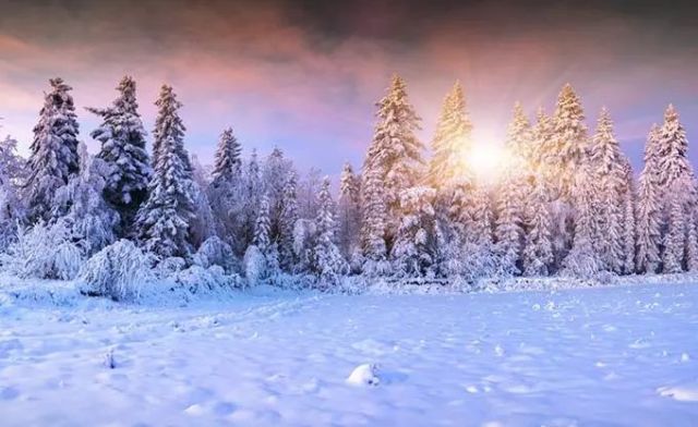 省政协十二届二次会议今天开幕 河南进入两会