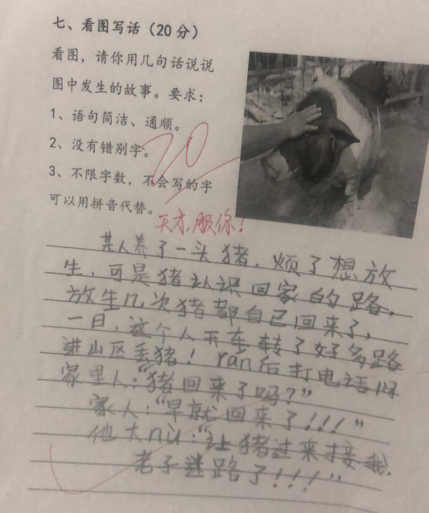 小学生用字母造句,老师给了100分,网友:是个不