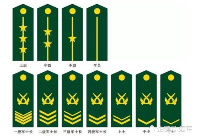军衔大家应该都不陌生吧,可以说军衔就是军人们的荣誉,军人们位置奋斗