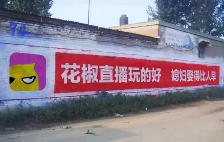 那些月薪3w的文案，都去農(nóng)村寫土味刷墻廣告了嗎？每條都笑死人(圖5)