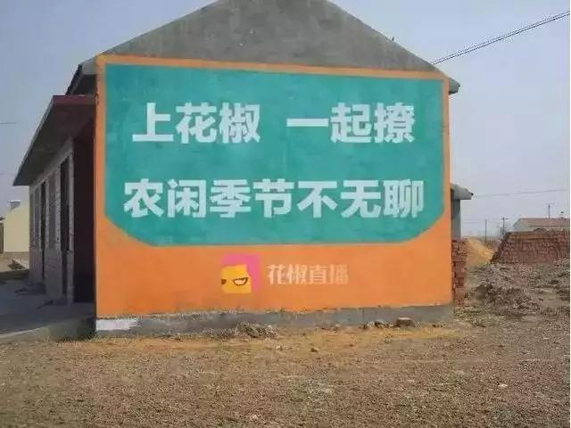 那些月薪3w的文案，都去農(nóng)村寫土味刷墻廣告了嗎？每條都笑死人(圖6)