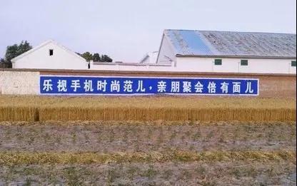 那些月薪3w的文案，都去農(nóng)村寫土味刷墻廣告了嗎？每條都笑死人(圖12)