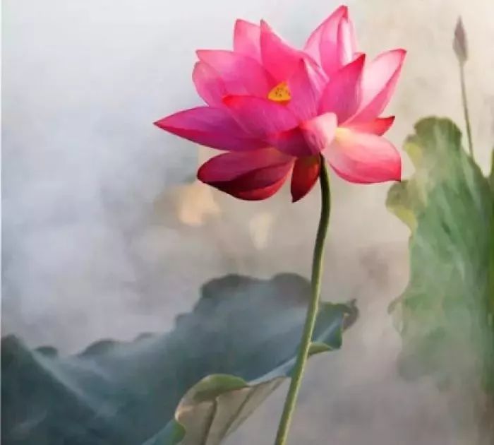 回文诗|如此才华横溢的诗，你见过吗？绝了！