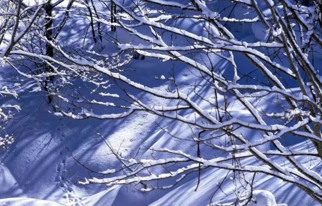 10个雪景摄影思路,迎接冬天的每一场雪,帮你把雪景拍美!