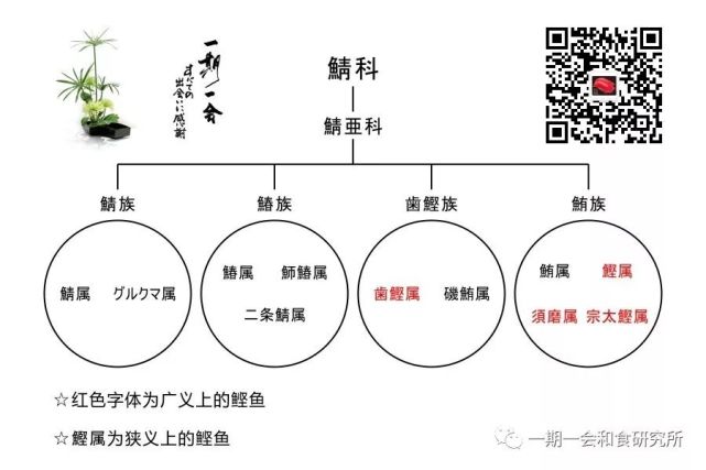 腾讯内容开放平台