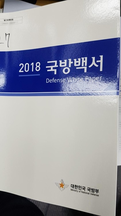 韩国白皮书图片
