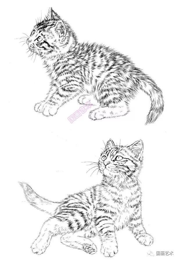白描百猫画谱选页欣赏