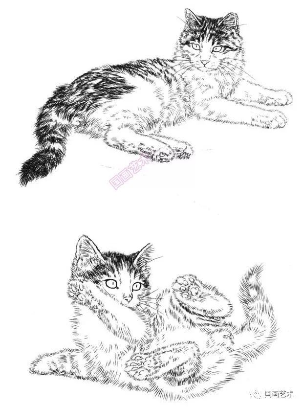 白描百猫画谱选页欣赏
