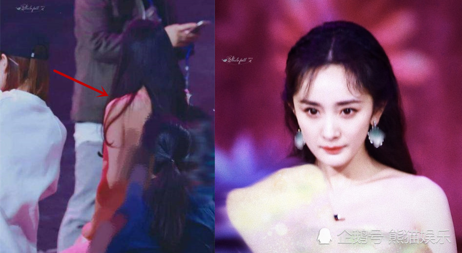 杨幂零下9℃穿抹胸裙彩排,5位助理帮提裙,脚踩