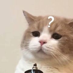 专科艺术学校排行_「最新」2020中国艺术类院校及专业总排名!附各省文