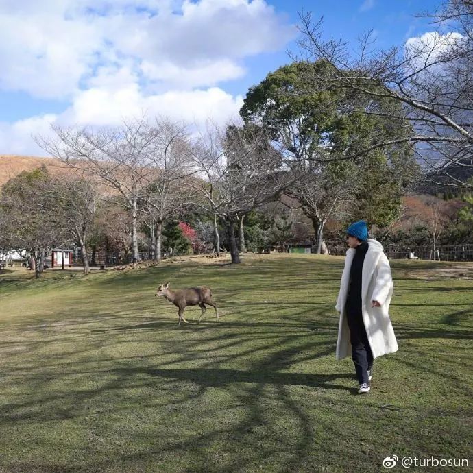 杨幂北京春晚彩排生图也太能打了,杨紫关晓彤