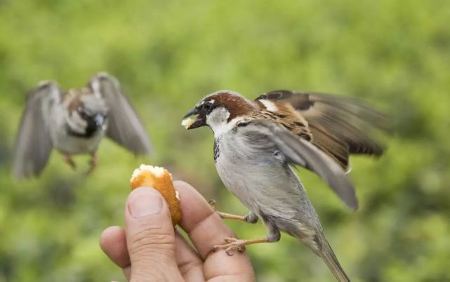 腾讯内容开放平台