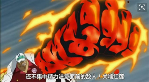 金狮子是飘飘果实的能力者,是飞空海贼团的团长,曾经和白胡子,罗杰