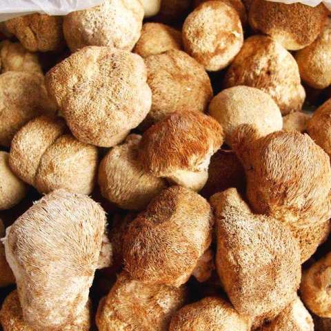 中医建议脾胃不好,这3物要多吃,健脾养胃,身体自然倍棒