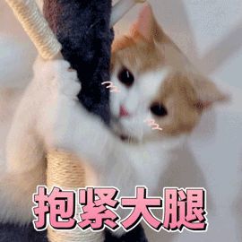 唐山富豪排行榜_河北钢铁＂富豪＂排行榜!