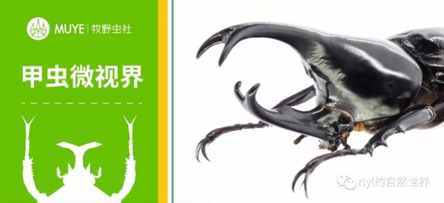 腾讯内容开放平台