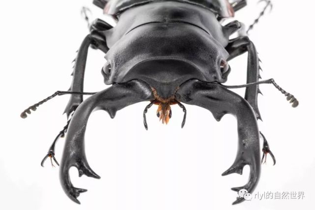 腾讯内容开放平台