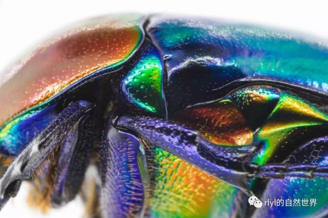 腾讯内容开放平台