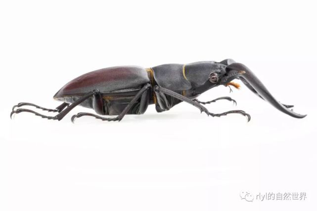 腾讯内容开放平台