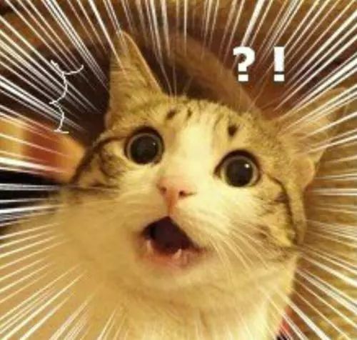 日本酒店解雇半数机器人,裁员潮谁都躲不过?